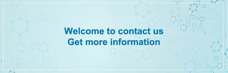 Veterinary Use Anesthesia Machine