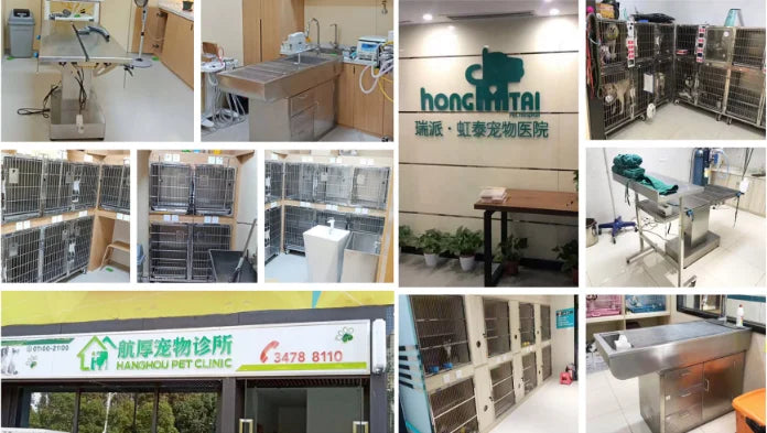 Veterinary Use Anesthesia Machine