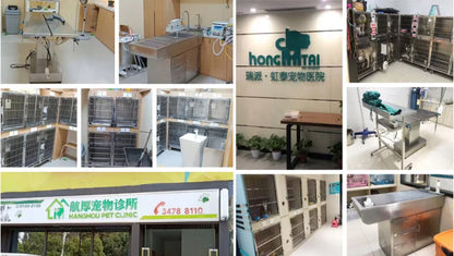 Veterinary Use Anesthesia Machine