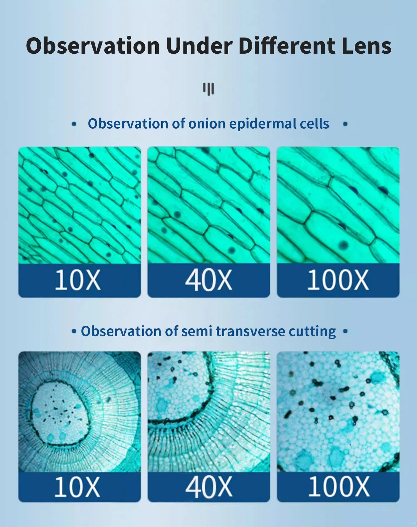 Monocular Optical Microscope (64X–2400X)