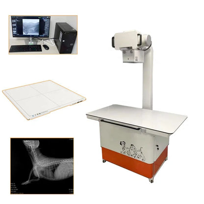 Digital X-Ray Machine