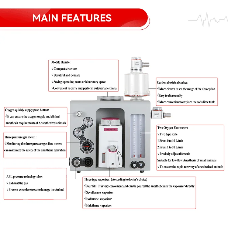 Portable Anesthesia Machine for Medical & Veterinary Use