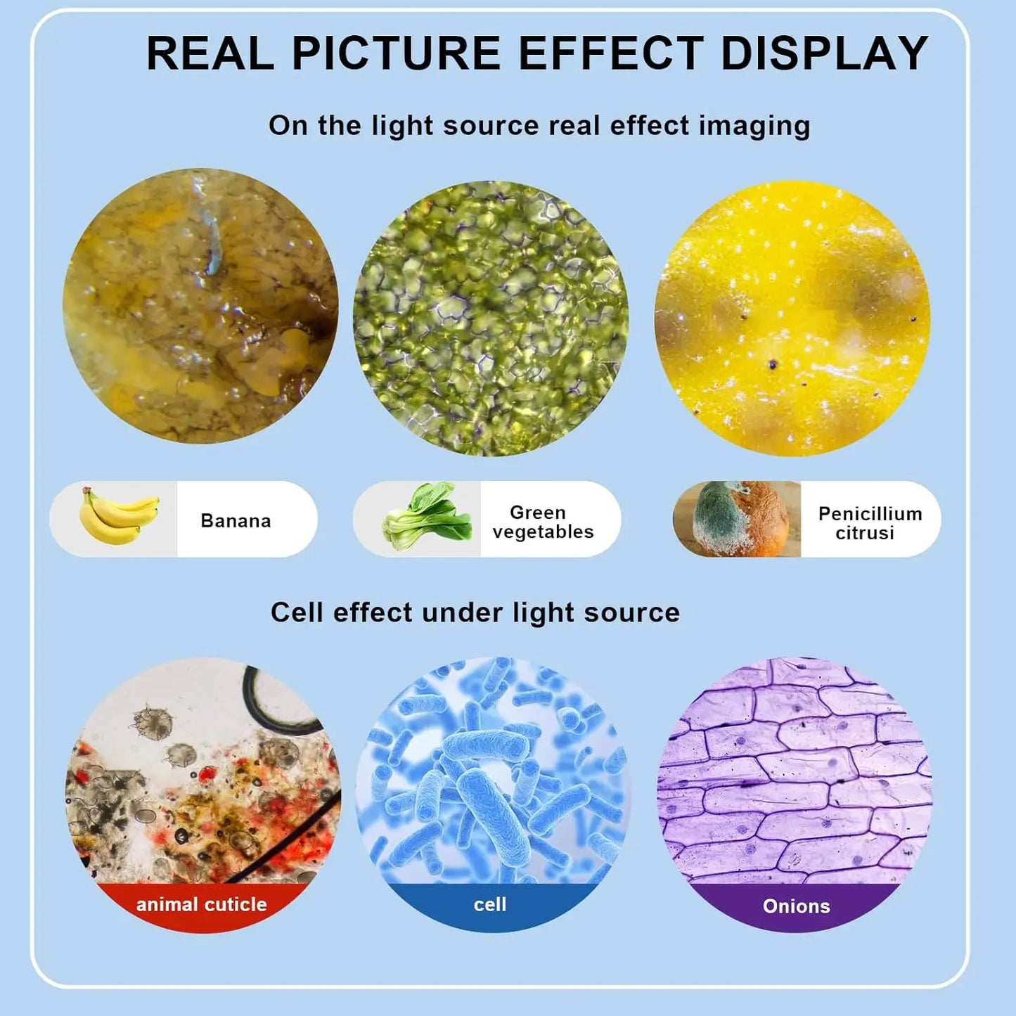 Monocular Optical Microscope (64X–2400X)