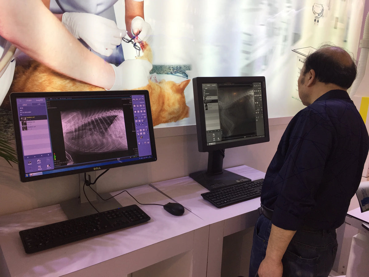 Digital X-Ray Machine