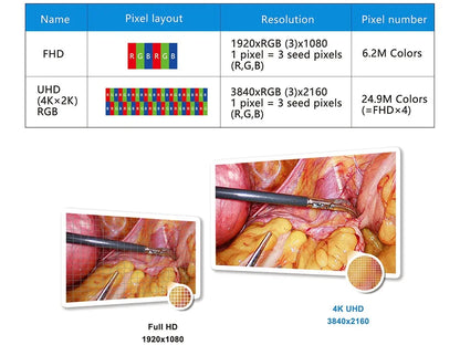 UHD 4K Endoscopic Imaging System
