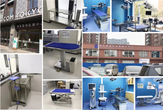 Veterinary Use Anesthesia Machine
