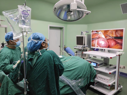 UHD 4K Endoscopic Imaging System