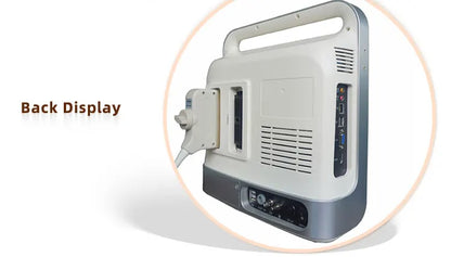 4D Veterinary Ultrasound Doppler Machine