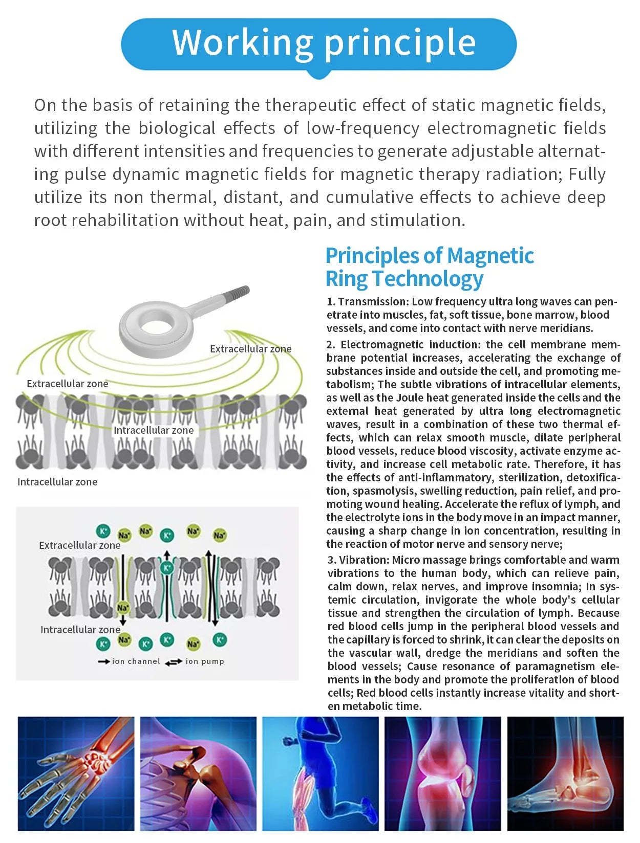 Professional EMTT Therapy Machine (PEMF Magnetotherapy)