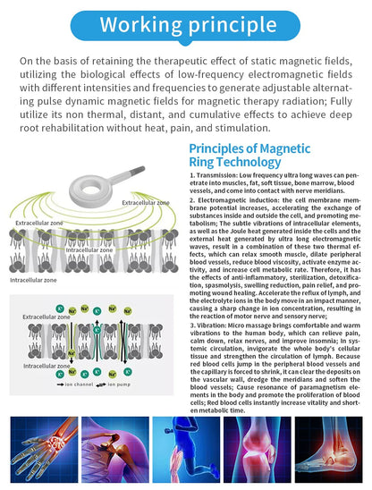 Professional EMTT Therapy Machine (PEMF Magnetotherapy)